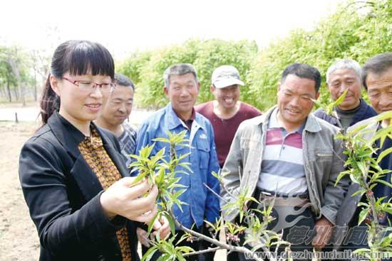樂(lè)陵李妍：扎根基層幫民富